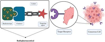 Activity quantification and dosimetry in radiopharmaceutical therapy with reference to 177Lutetium